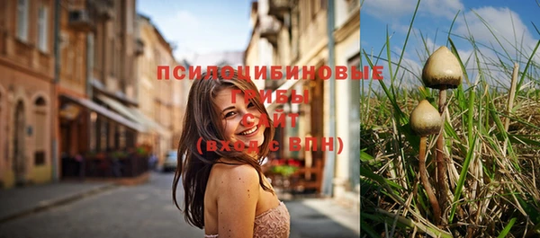 прущий лед Алексеевка